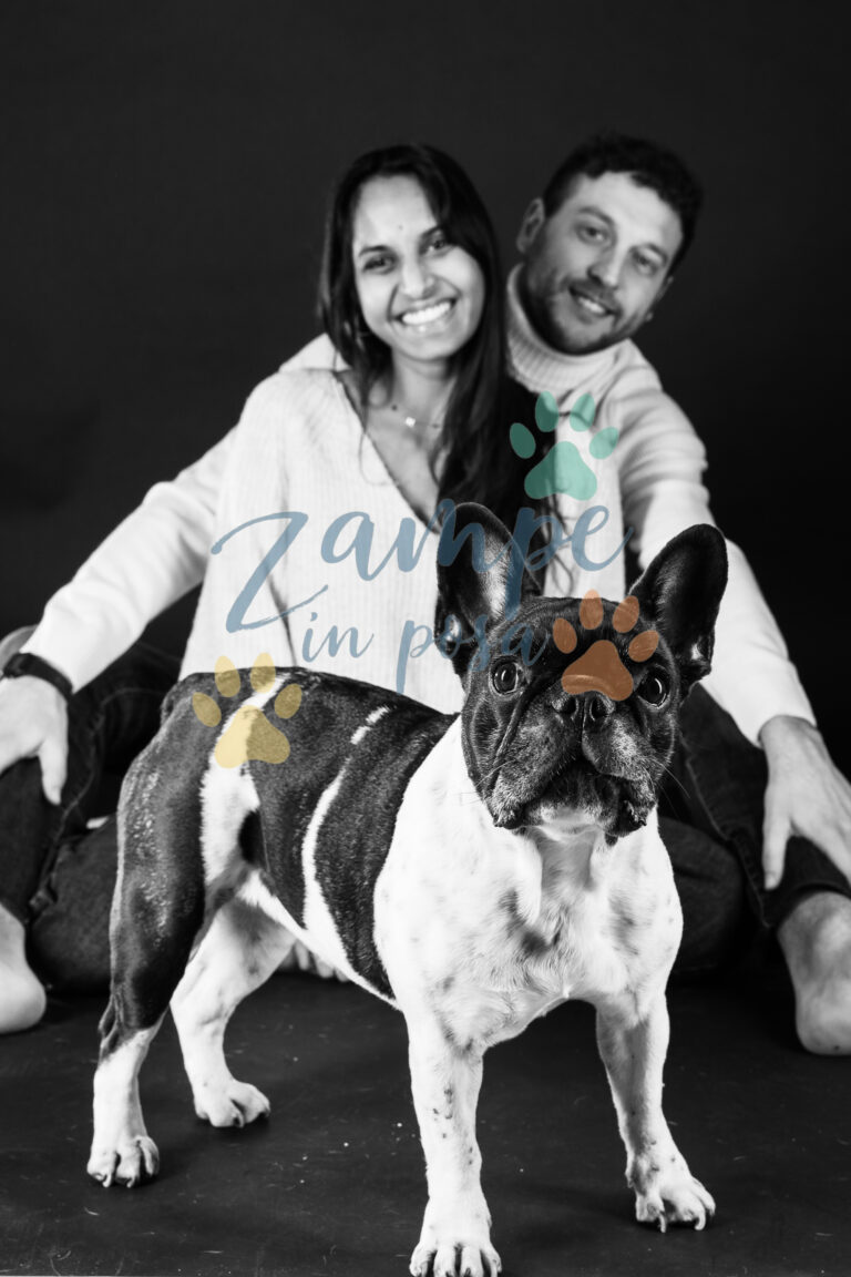 zampeinposa0066