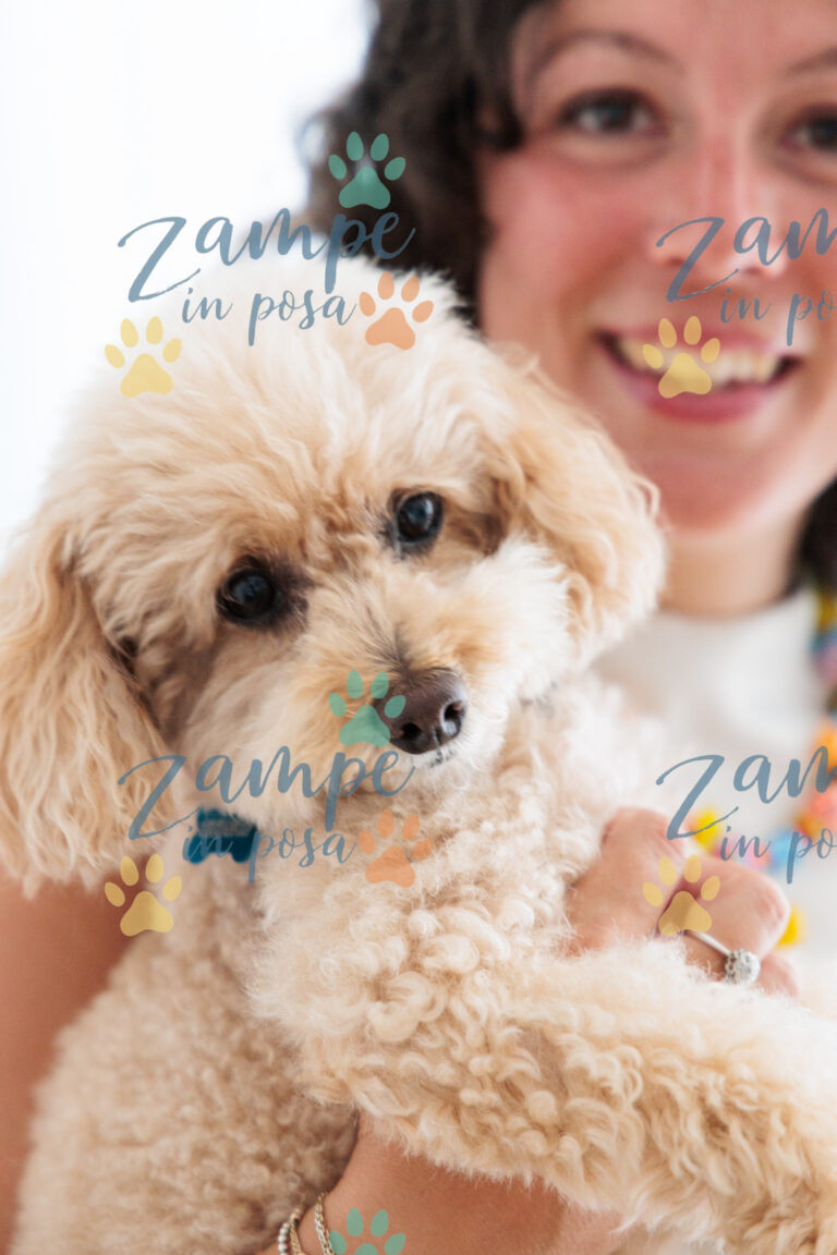 zampeinposa0010