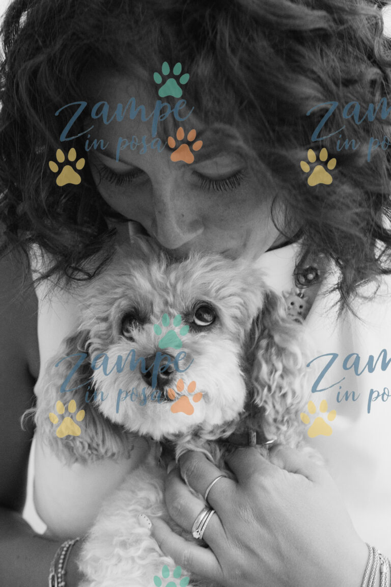 zampeinposa0023